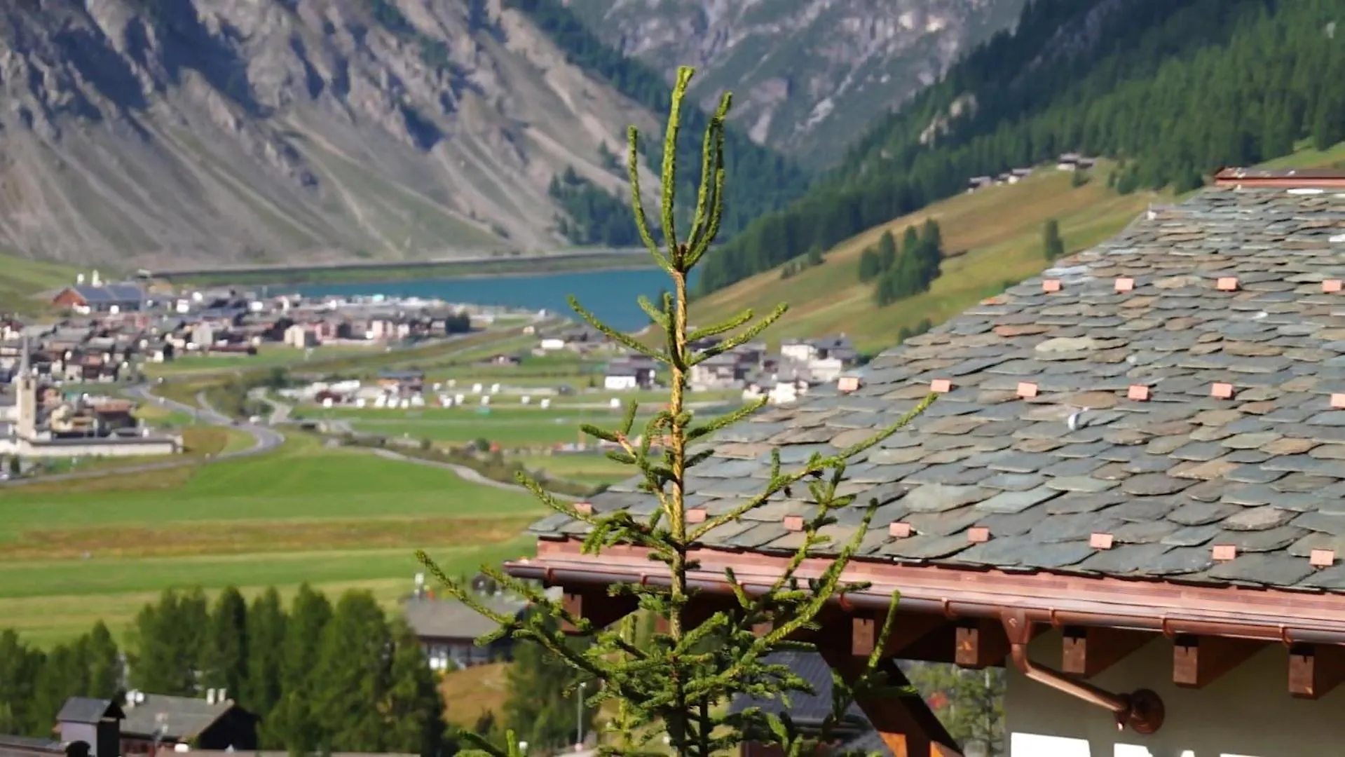 Apartment Chalet Elena Livigno